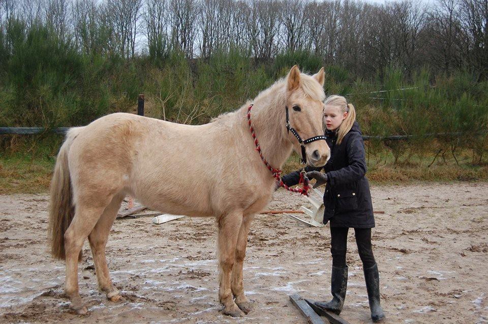 Anden særlig race Dina billede 18