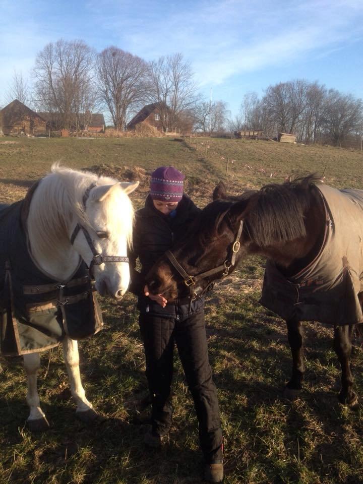 Anden særlig race Turgon billede 47