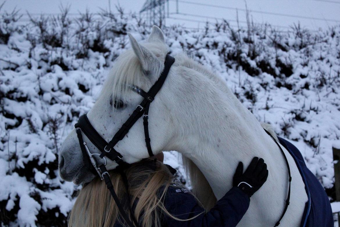 Anden særlig race Turgon billede 46