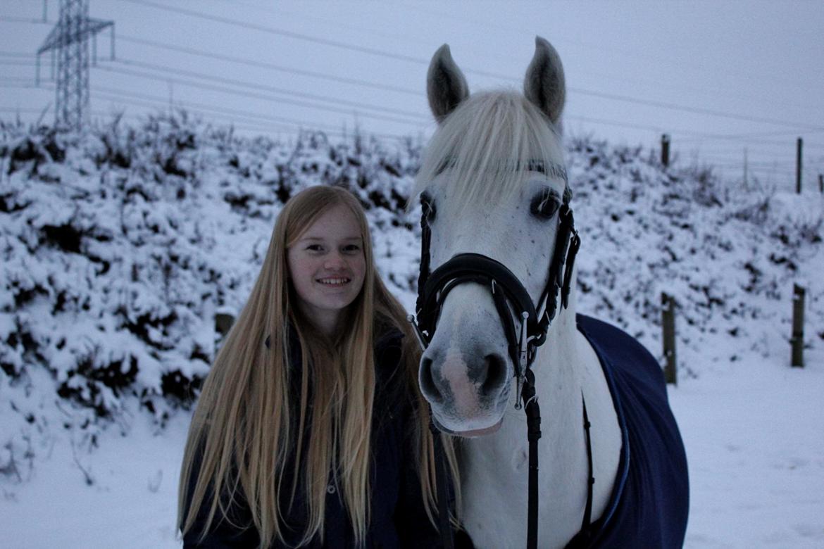 Anden særlig race Turgon billede 26