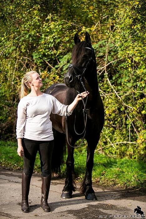 Frieser Jaike Fan Healwei billede 4