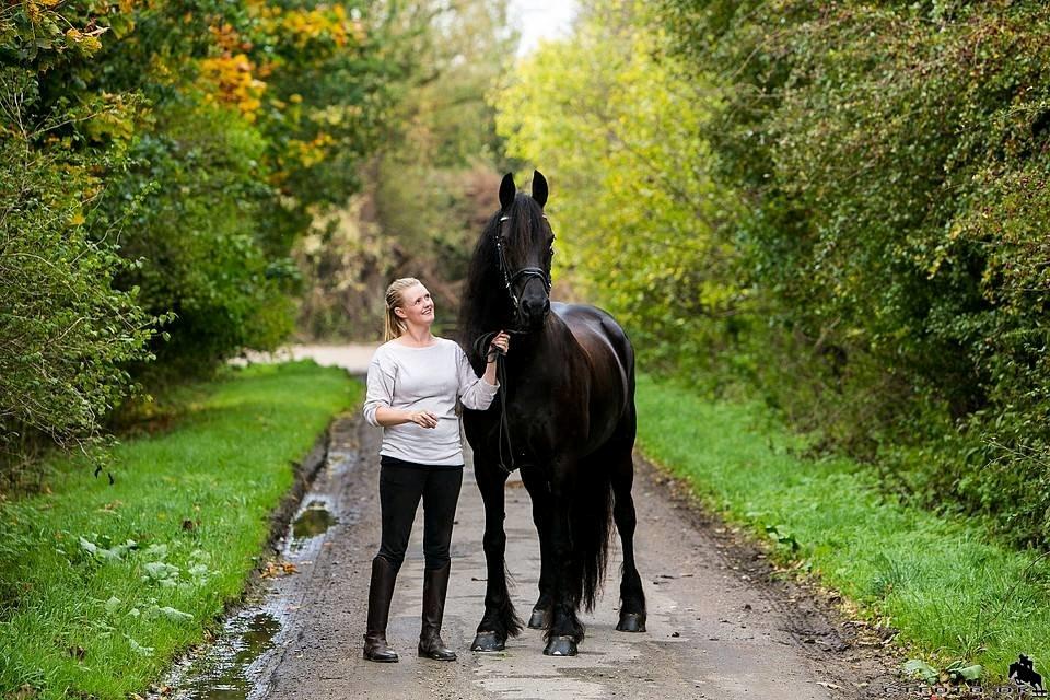 Frieser Jaike Fan Healwei billede 5