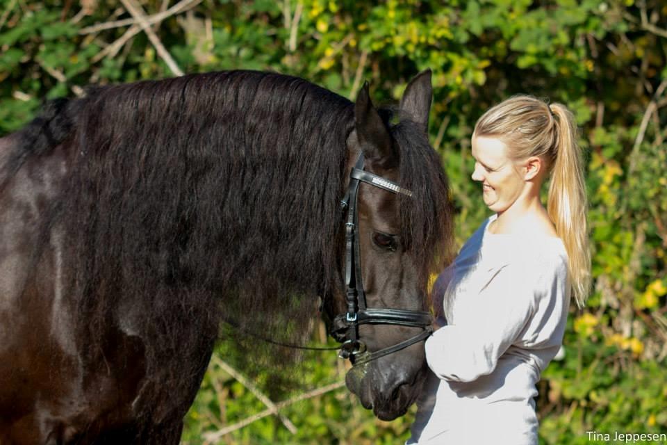 Frieser Jaike Fan Healwei billede 3