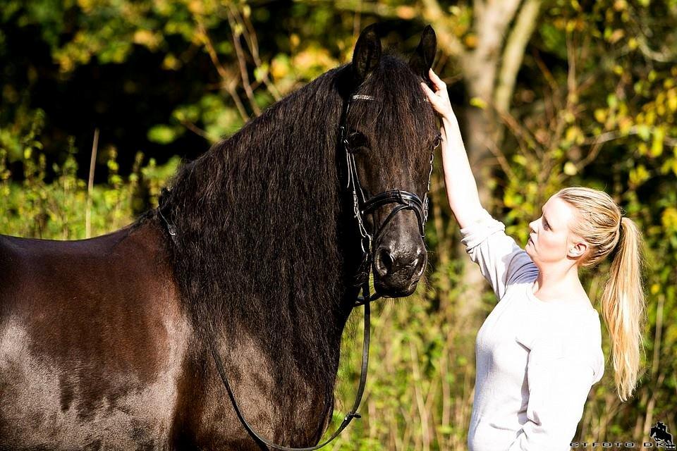 Frieser Jaike Fan Healwei billede 12