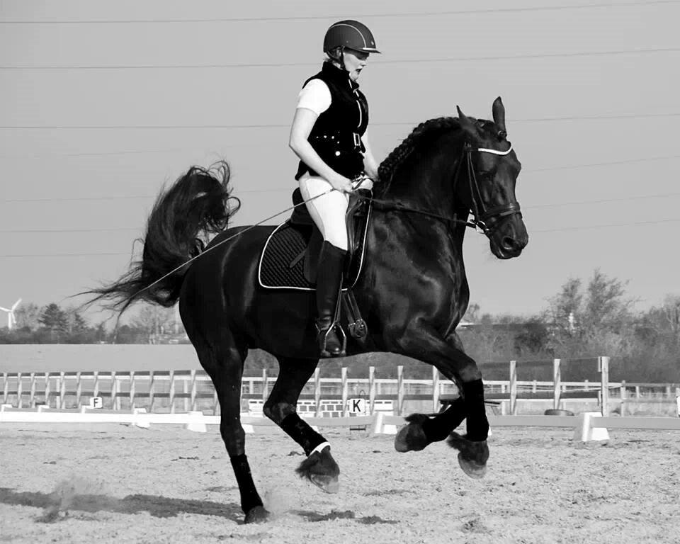 Frieser Jaike Fan Healwei billede 1