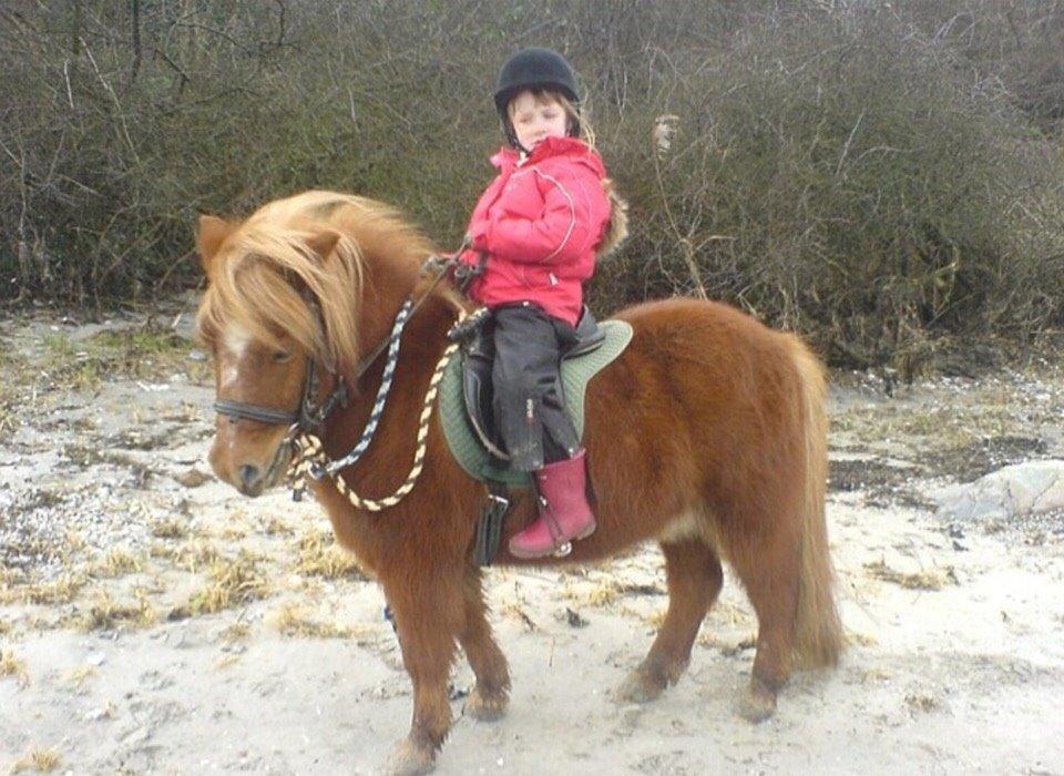 Anden særlig race Nicklas billede 4