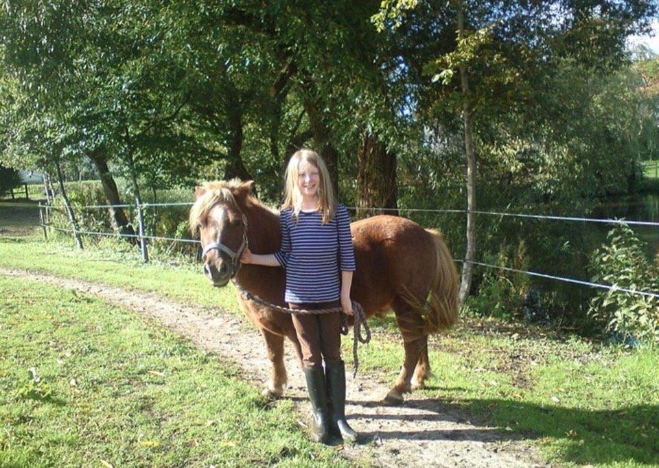 Anden særlig race Nicklas billede 7