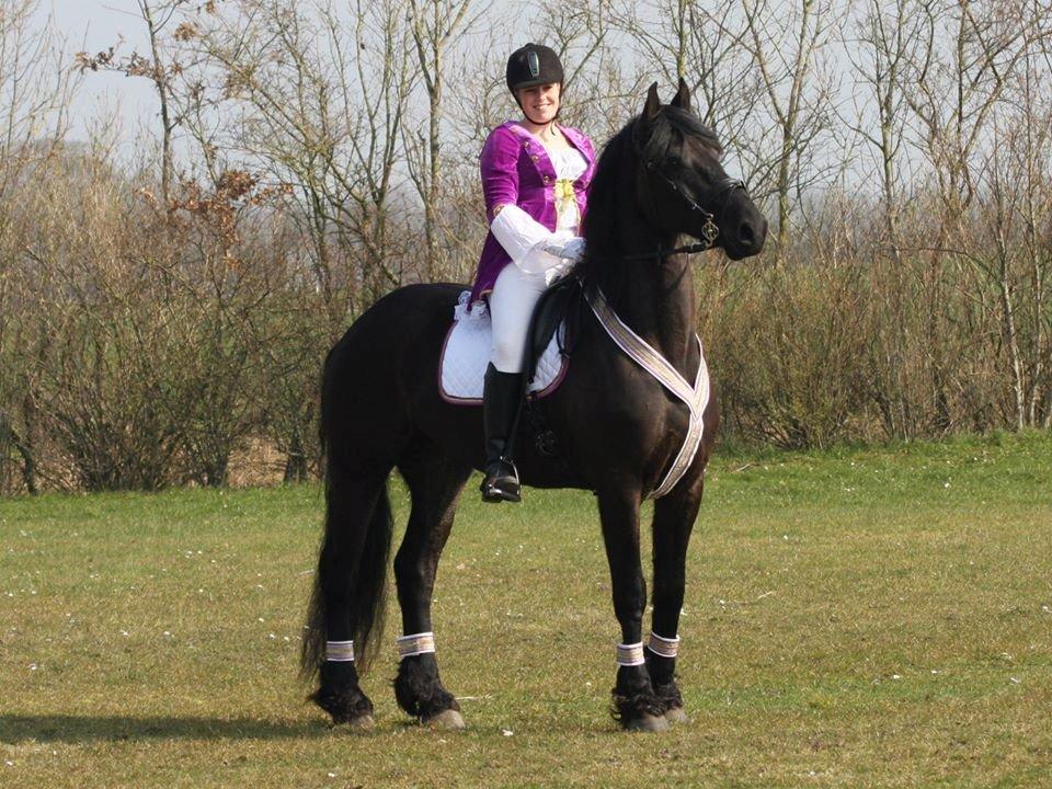 Frieser Elvira von Inger-Marienlund - Elvira og Eline klar til show med FrieserNord 2014 :-) billede 8