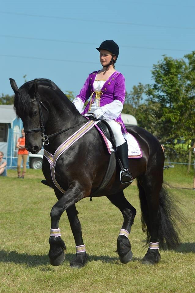 Frieser Mazandra von Inger-Marienlund, stb. STER - Mazandra og jeg til FrieserNord-show ved Hjallerup marked 2014. billede 2