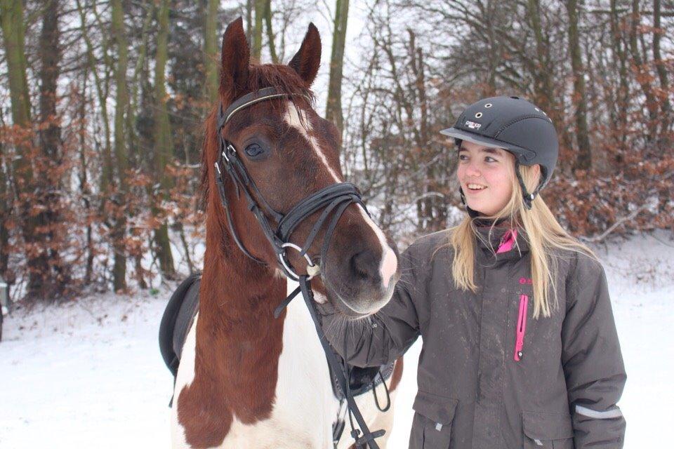 Anden særlig race Leopold billede 3
