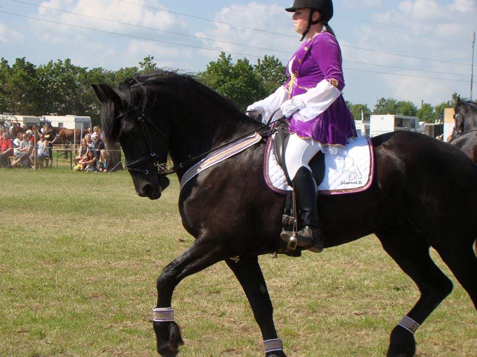 Frieser Helena von Inger-Marienlund - Helena til Hjallerup marked med FrieserNord 2014 billede 9