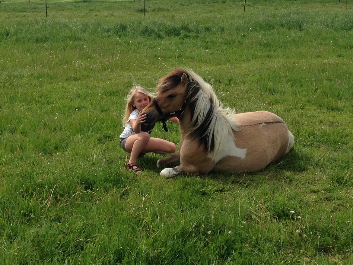 Anden særlig race Kronborggårdens Condolezza<3 - Hygge på folden billede 9