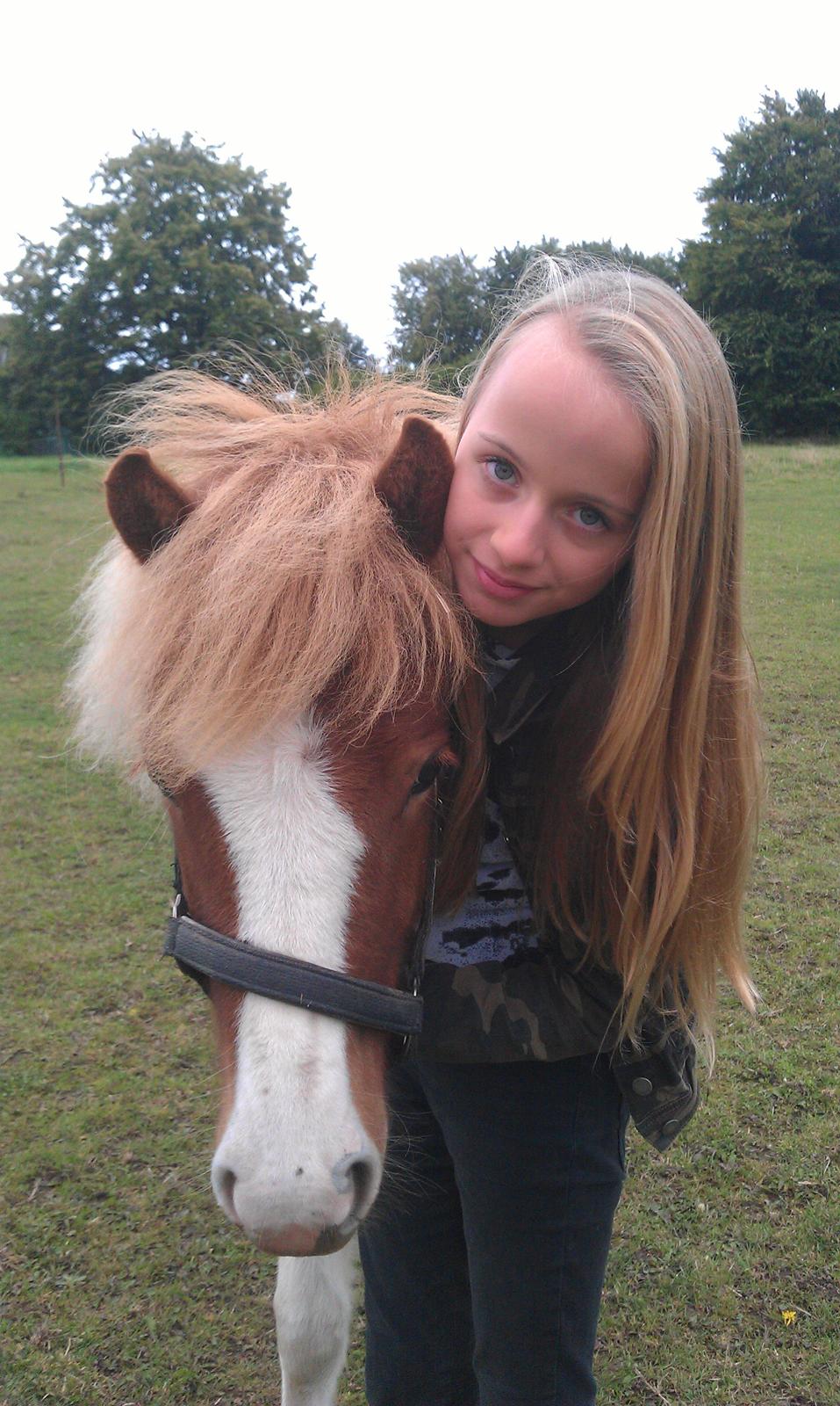 Islænder Litla fra Midtgaard billede 7