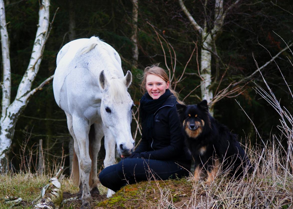 DSP Præstemarkens Mahogni |Honey| - Stolt ejer af disse to fantastiske tøser <3 billede 48