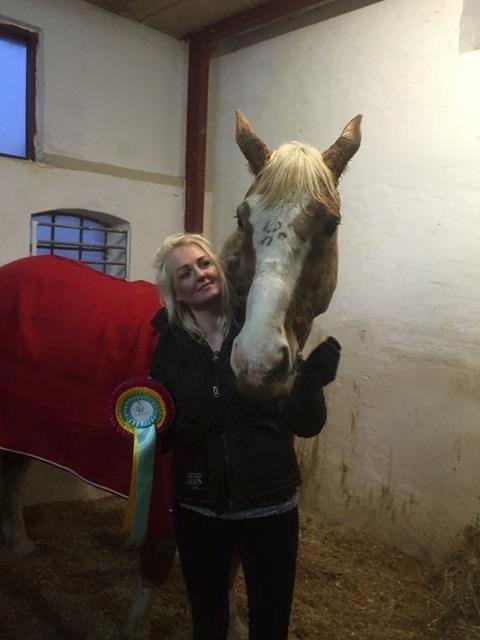 Palomino Crowns Chamberlain billede 12