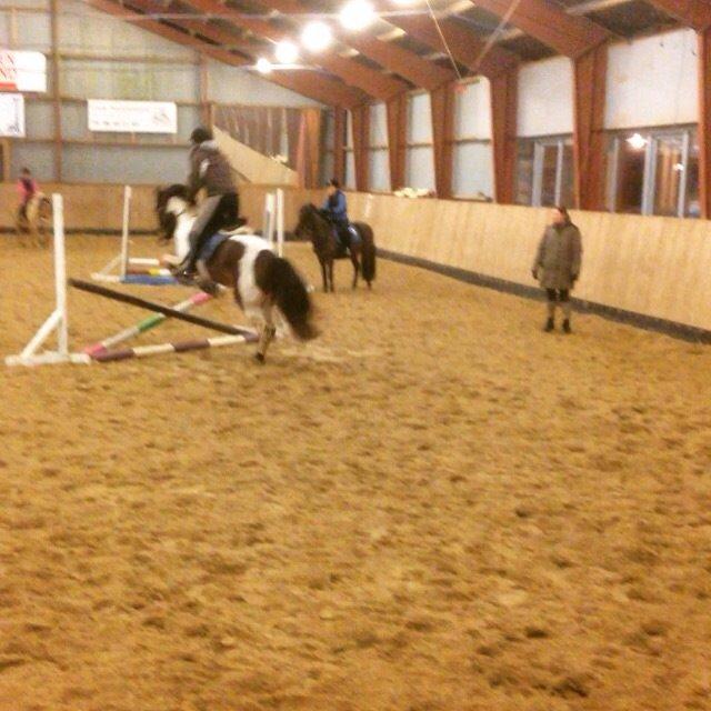 Anden særlig race Huxi  billede 9