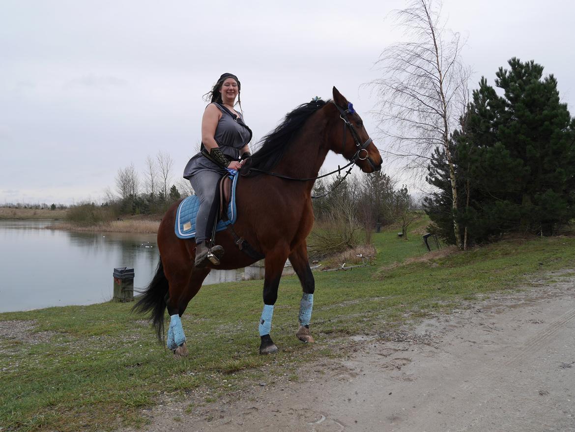 Traver Torak billede 18