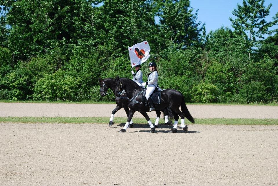 Frieser Jiduna af Stasevang, STER - Gerbrig/Jiduna sammen med Eline/Wictoria til show 2013.  billede 16