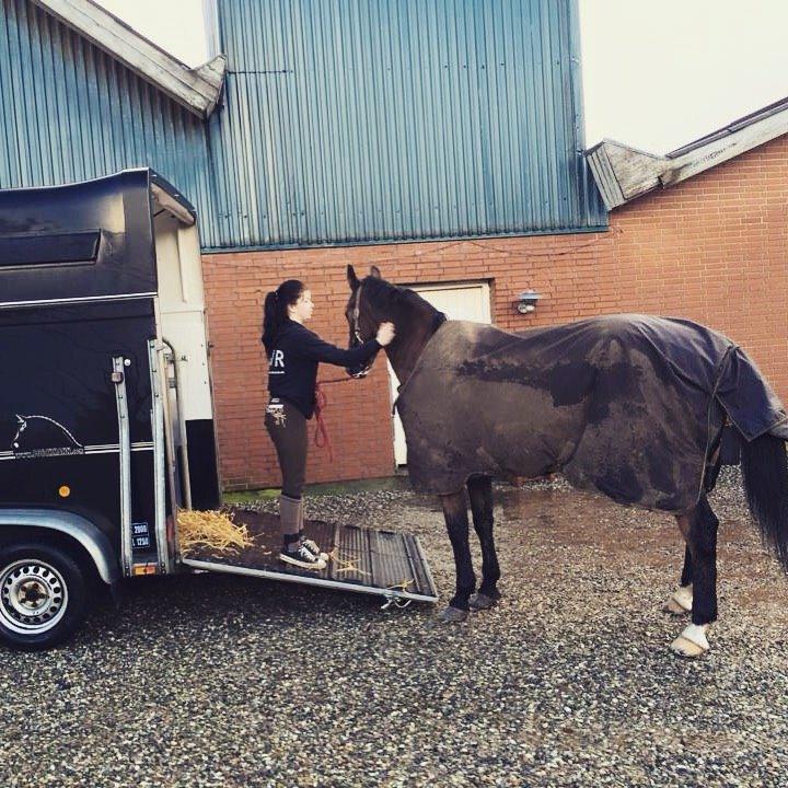 Anden særlig race Arcibald - Arcibald og jeg på juleferie der hjemme <3 lige ankommet. billede 3