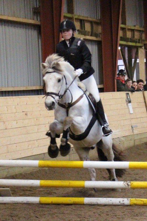 Fjordhest Lyngholms Arcon - første springstævne sammen<3 vi red LE<3 billede 44