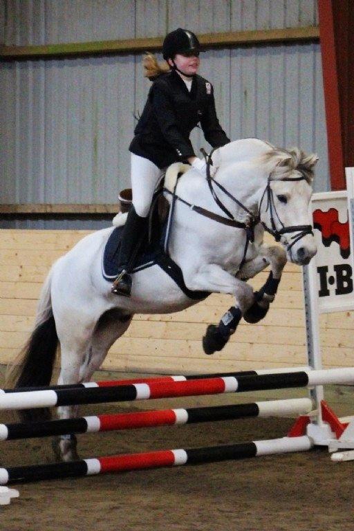 Fjordhest Lyngholms Arcon - første springstævne sammen<3 vi red LE<3 billede 12