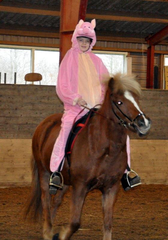 Islænder Lysa <3 IAka SkatlingI - Fastalavnsstævne 2015 <3 billede 3