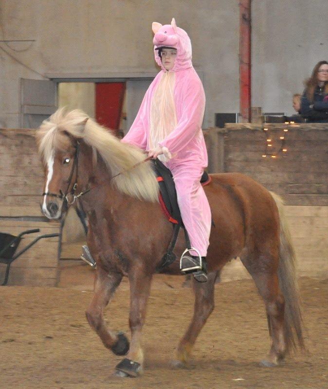 Islænder Lysa <3 IAka SkatlingI - Første stævne på min pge <3 billede 7