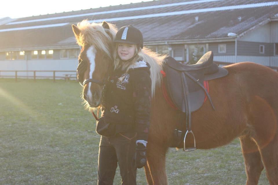 Islænder Lysa <3 IAka SkatlingI - Så har vi fotograf på <3 billede 6