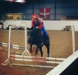 Anden særlig race Chanel  - Fastelavnstævne 2015. Vi er Super Mario. billede 3