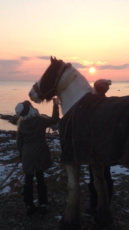 Tinker Kenzo's thumps up *kenny*  billede 3