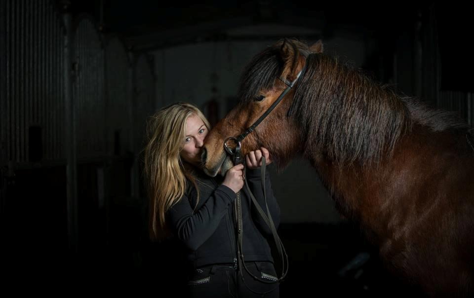 Islænder Pruður fra Flugsæl billede 12