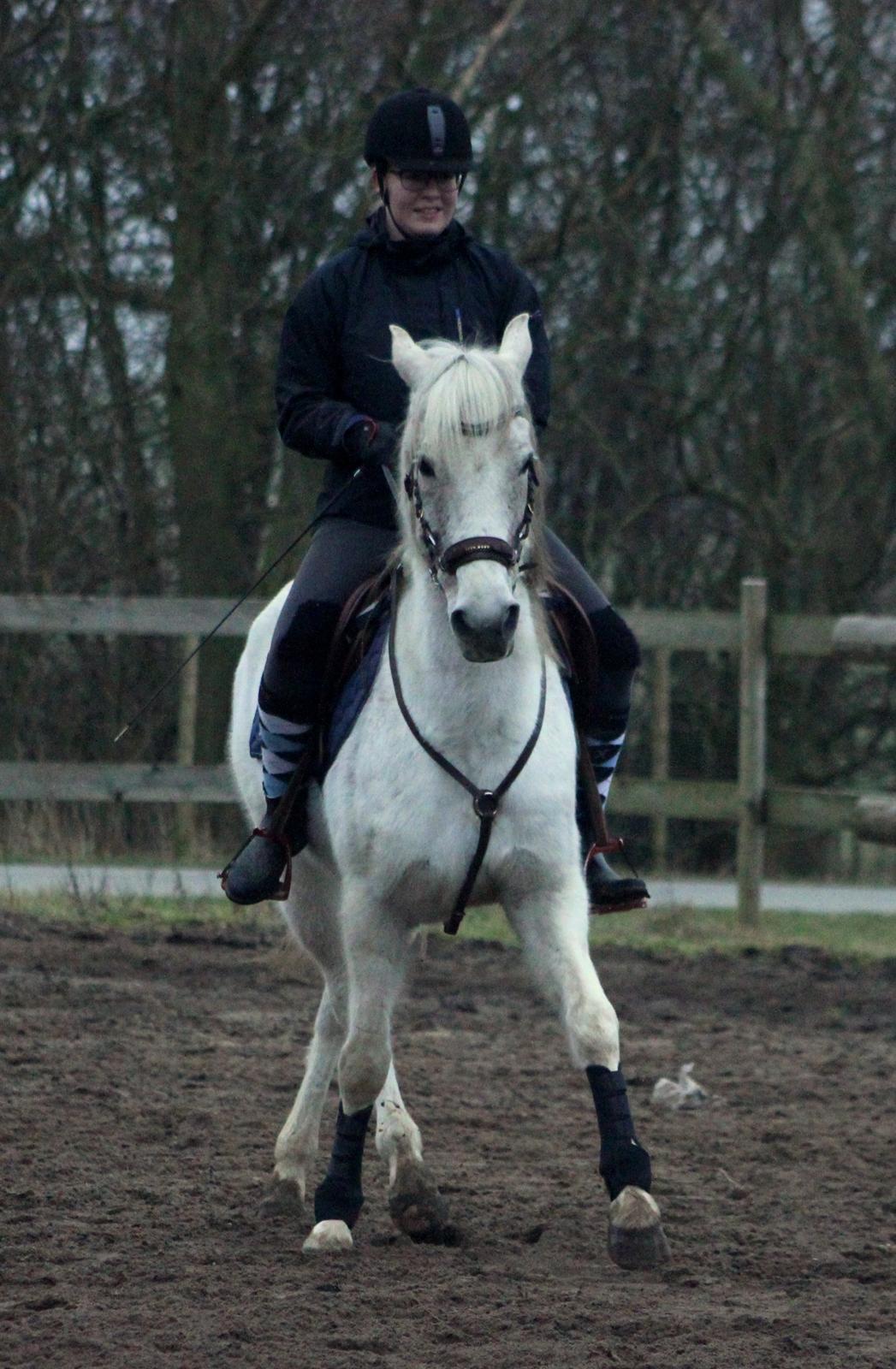 DSP Solvang's Mercedes - Taget af Lindgreen Photography billede 6