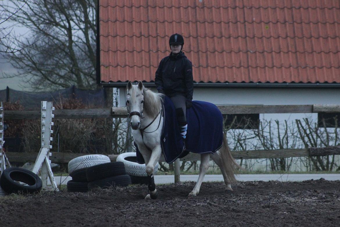 DSP Solvang's Mercedes - Taget af Lindgreen Photography billede 2