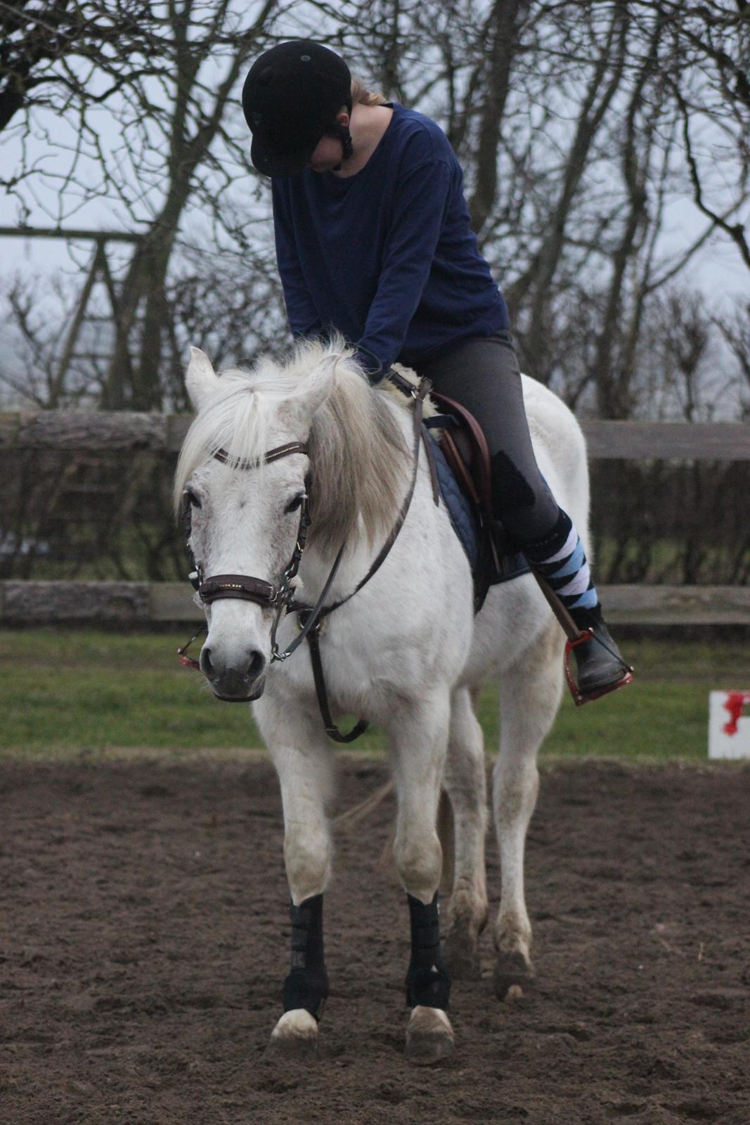 DSP Solvang's Mercedes - Taget af Lindgreen Photography billede 8