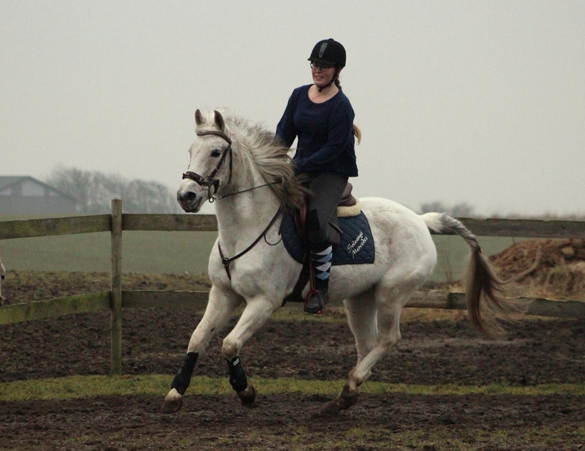 DSP Solvang's Mercedes - Taget af Lindgreen Photography billede 5