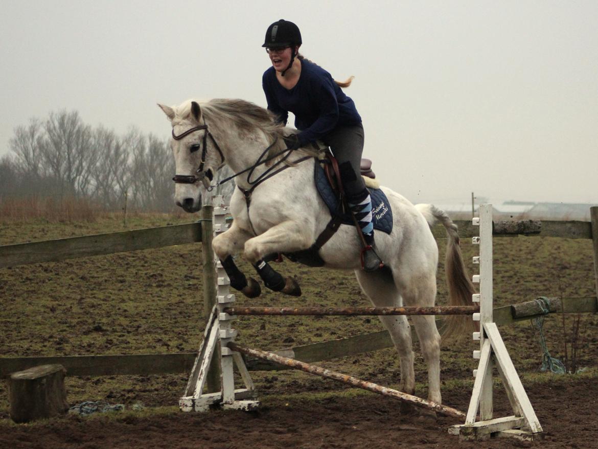 DSP Solvang's Mercedes - Taget af Lindgreen Photography billede 9