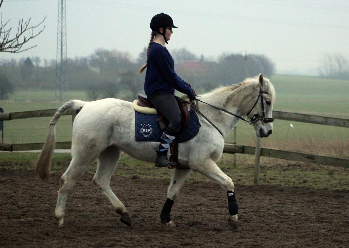 DSP Solvang's Mercedes - Taget af Lindgreen Photography billede 7