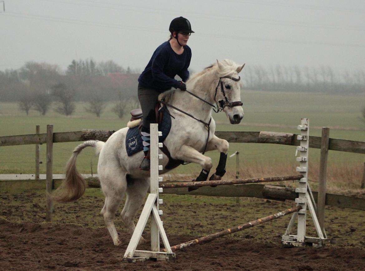 DSP Solvang's Mercedes - Taget af Lindgreen Photography billede 13