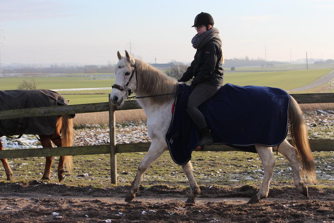 DSP Solvang's Mercedes billede 16