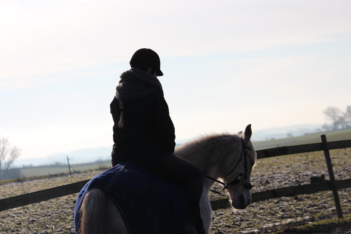 DSP Solvang's Mercedes billede 20