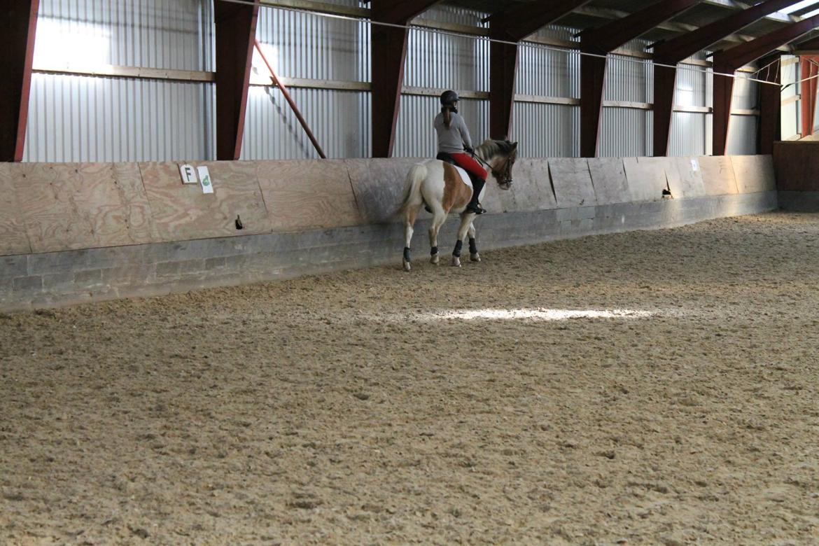 Pinto Jens Marius - The only way to have a friend, is to be one<3  billede 4