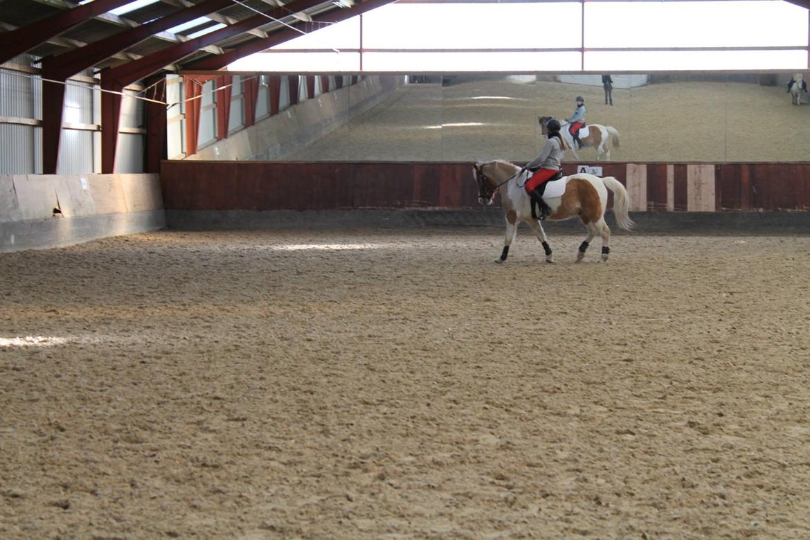 Pinto Jens Marius - My love. billede 6