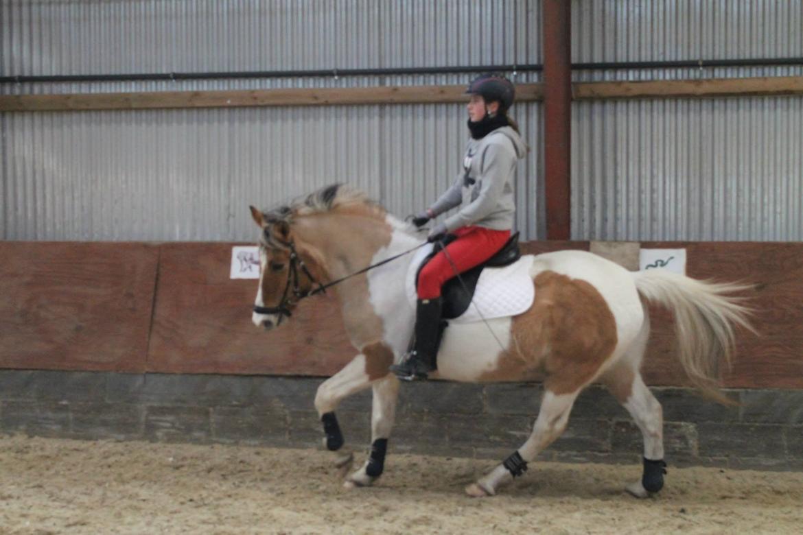 Pinto Jens Marius - MY HERO! billede 7