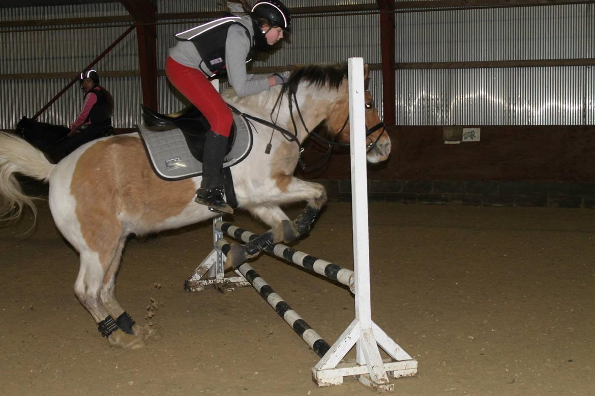 Pinto Jens Marius - Gør livet til en fest, og spring med din hest! billede 10