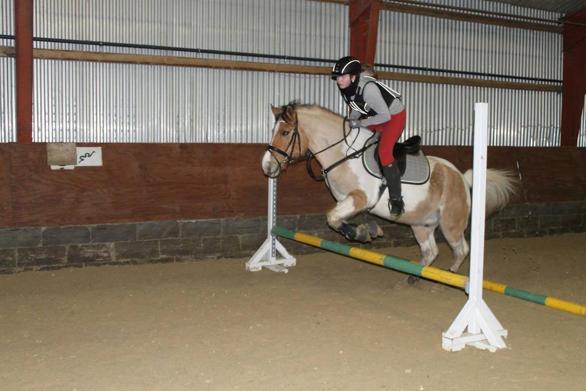 Pinto Jens Marius - Opvarming m. travbom billede 11