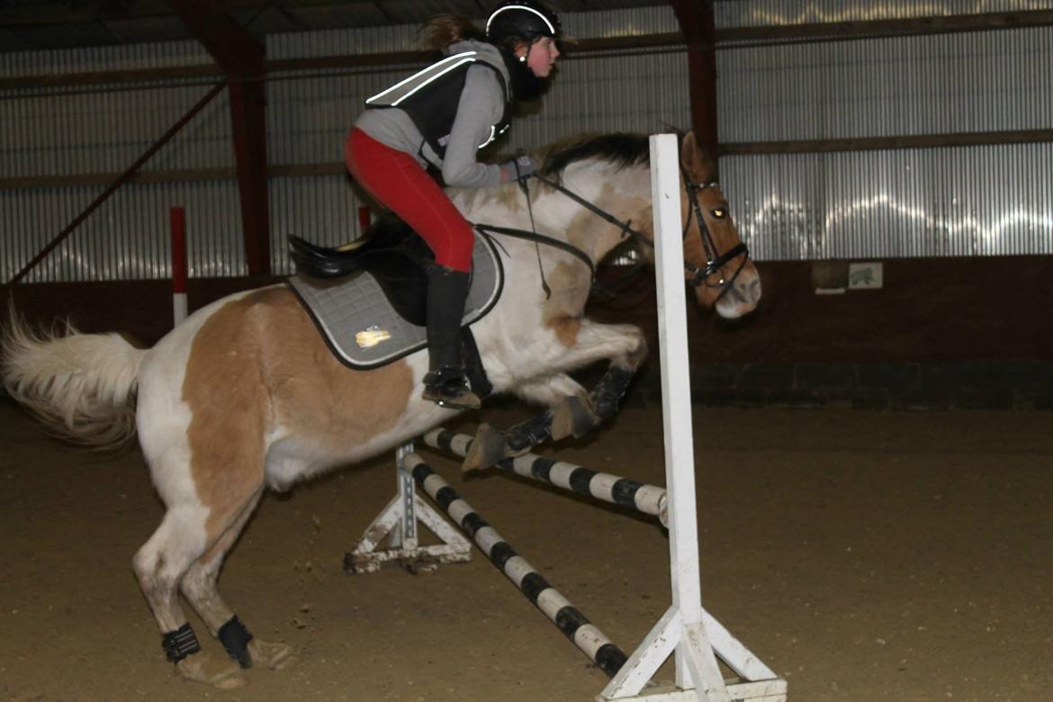 Pinto Jens Marius - Hvis jeg skulle råbe ud til hele verden at jeg elsker dig, så ville jeg hviske det i dit øre, for du er hele min verden!<3 billede 14