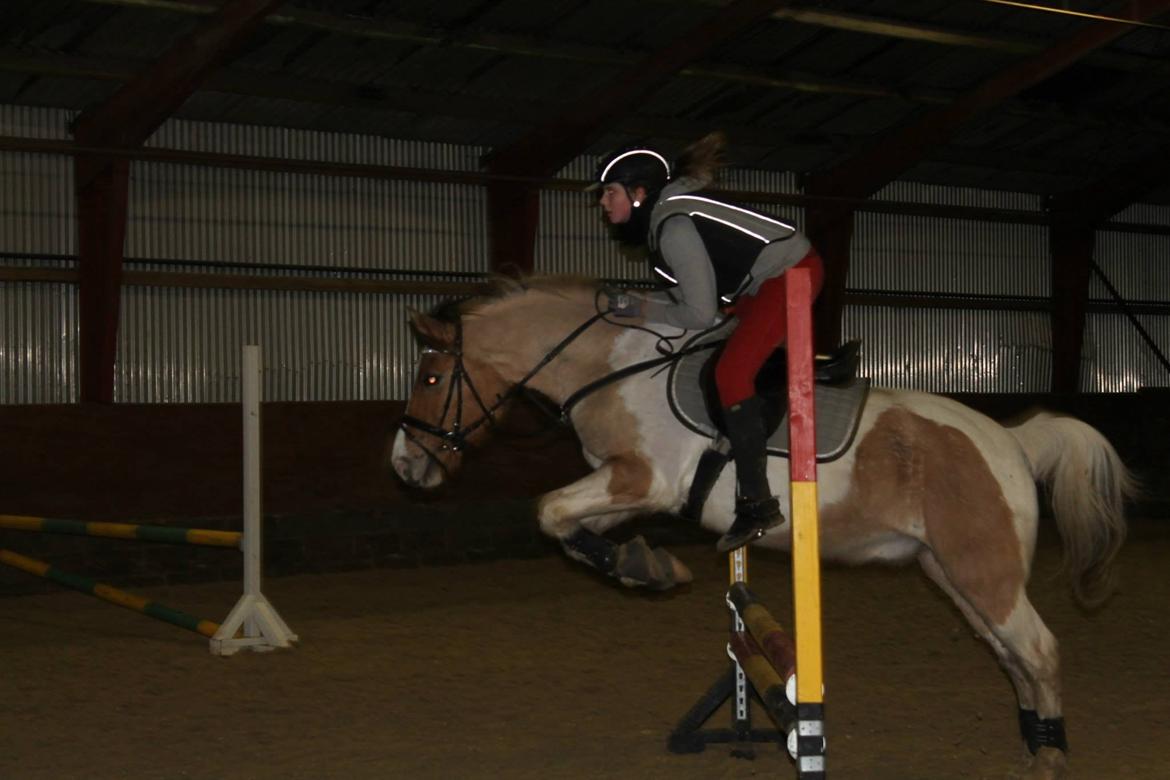 Pinto Jens Marius billede 15