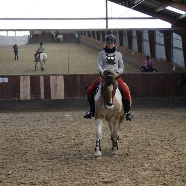 Pinto Jens Marius - Forever and always!<3 billede 18