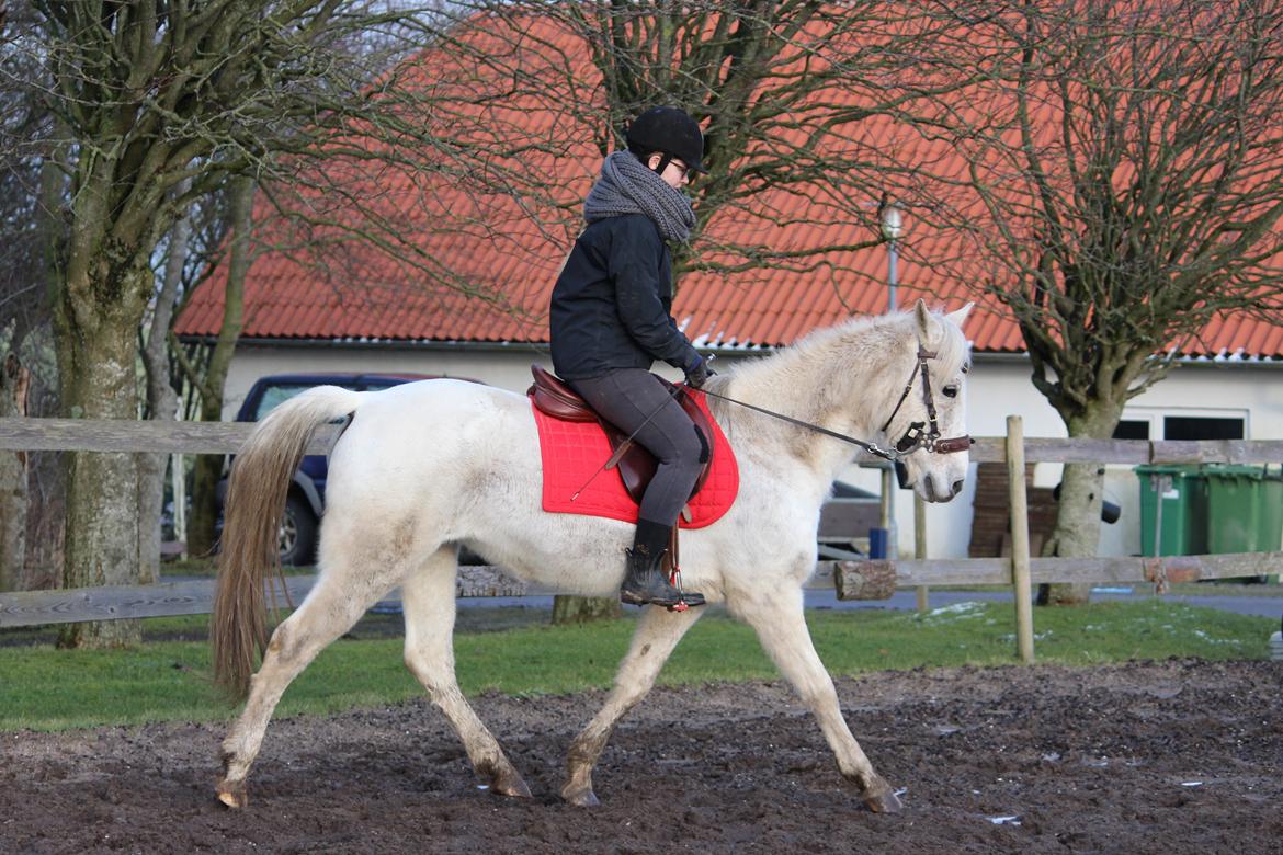 DSP Solvang's Mercedes billede 10