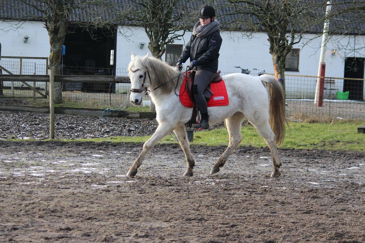 DSP Solvang's Mercedes billede 14